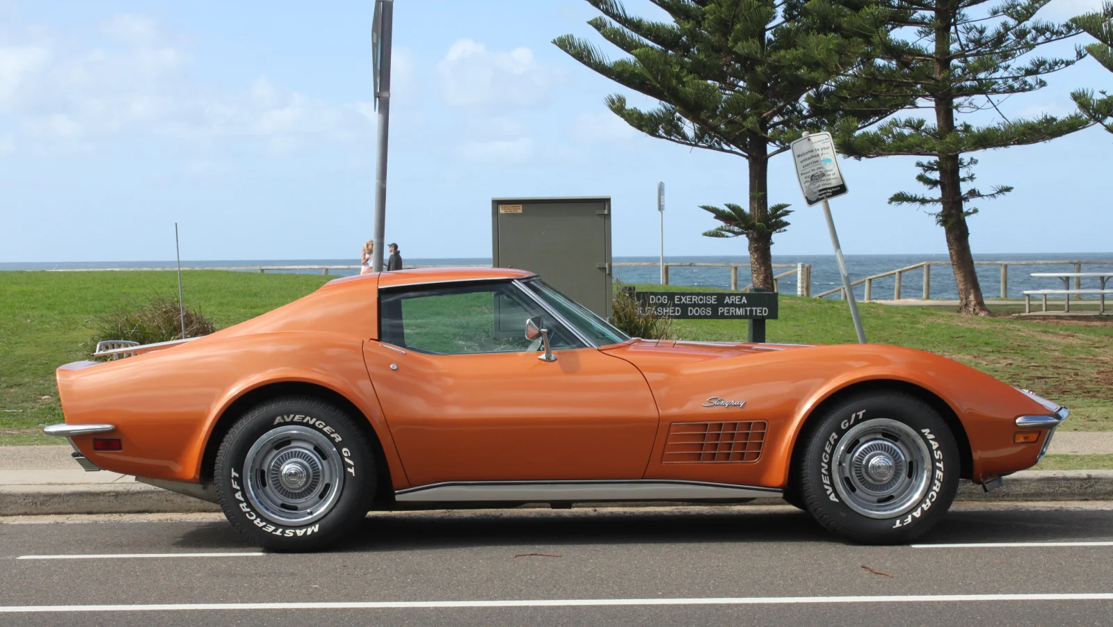 Click to Enlarge-Esc to Close Corvette Generations/C3/C3 1972 Stingray Side View.webp